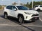 2025 Toyota RAV4 XLE FWD (Natl)
